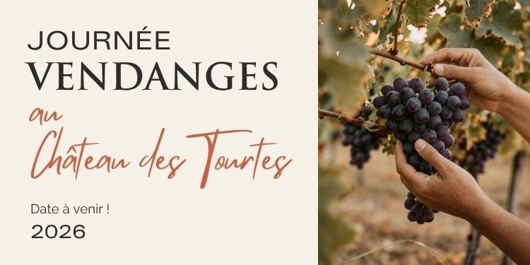 Journée vendanges